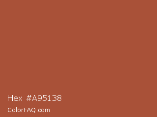 Hex #a95138 Color Image