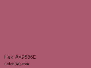 Hex #a9586e Color Image