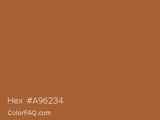 Hex #a96234 Color Image