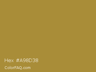 Hex #a98d38 Color Image