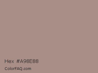 Hex #a98e88 Color Image