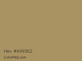Hex #a99362 Color Image