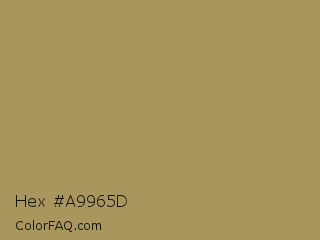 Hex #a9965d Color Image
