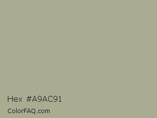 Hex #a9ac91 Color Image