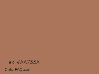 Hex #aa755a Color Image