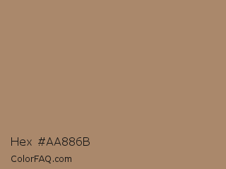 Hex #aa886b Color Image