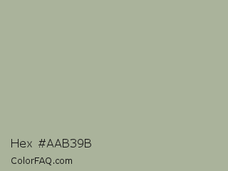 Hex #aab39b Color Image