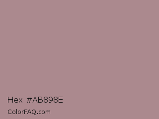 Hex #ab898e Color Image