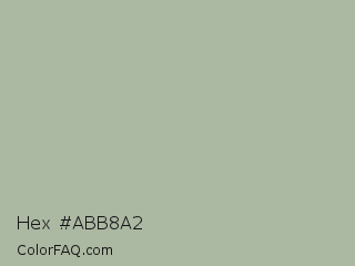 Hex #abb8a2 Color Image