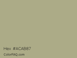 Hex #acab87 Color Image
