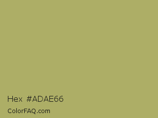 Hex #adae66 Color Image