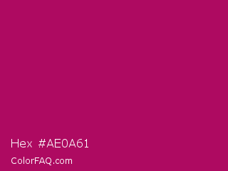 Hex #ae0a61 Color Image