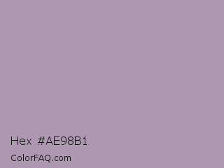 Hex #ae98b1 Color Image