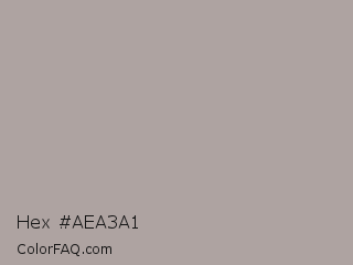 Hex #aea3a1 Color Image