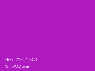 Hex #b01bc1 Color Image