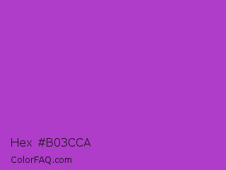Hex #b03cca Color Image