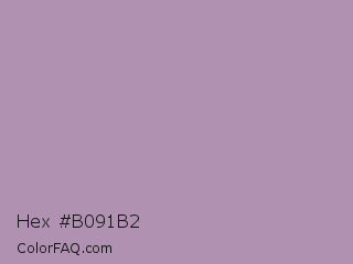 Hex #b091b2 Color Image