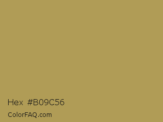 Hex #b09c56 Color Image