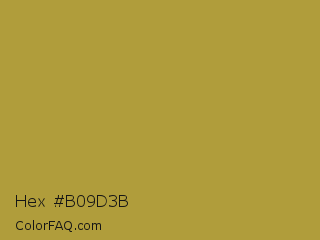 Hex #b09d3b Color Image