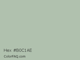 Hex #b0c1ae Color Image
