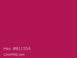 Hex #b11554 Color Image