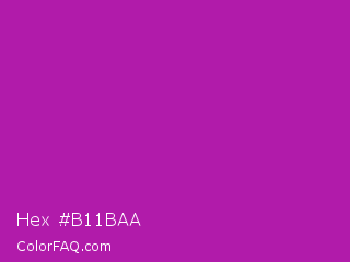 Hex #b11baa Color Image