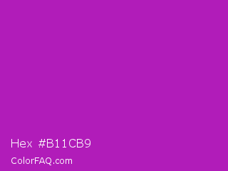 Hex #b11cb9 Color Image