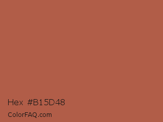 Hex #b15d48 Color Image