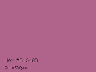 Hex #b1648b Color Image