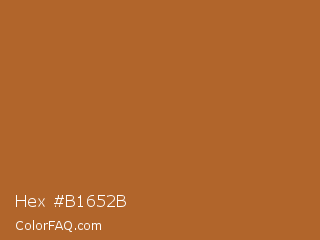 Hex #b1652b Color Image