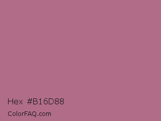 Hex #b16d88 Color Image