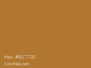 Hex #b17730 Color Image