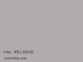 Hex #b1abab Color Image