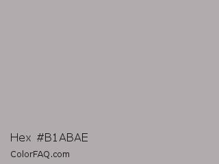 Hex #b1abae Color Image