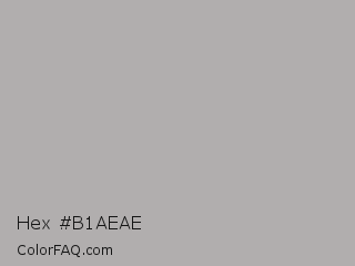 Hex #b1aeae Color Image