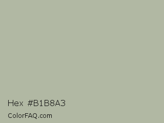 Hex #b1b8a3 Color Image