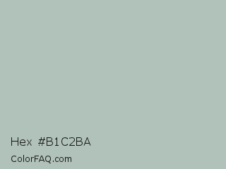 Hex #b1c2ba Color Image