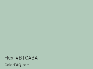 Hex #b1caba Color Image
