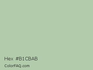 Hex #b1cbab Color Image