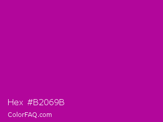 Hex #b2069b Color Image