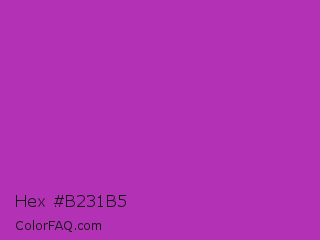 Hex #b231b5 Color Image