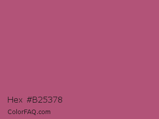 Hex #b25378 Color Image