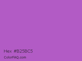 Hex #b25bc5 Color Image