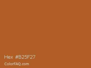 Hex #b25f27 Color Image