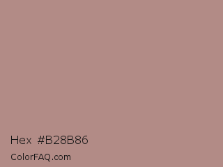 Hex #b28b86 Color Image