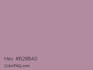 Hex #b28ba0 Color Image