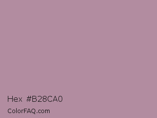 Hex #b28ca0 Color Image