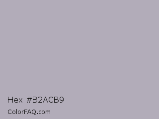 Hex #b2acb9 Color Image