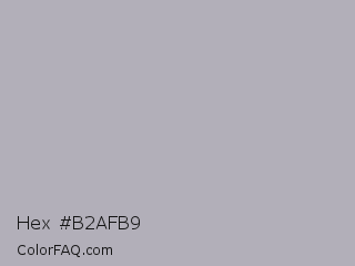 Hex #b2afb9 Color Image