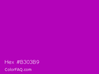 Hex #b303b9 Color Image